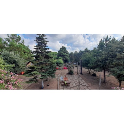 DOĞANCILI KAMPİNG